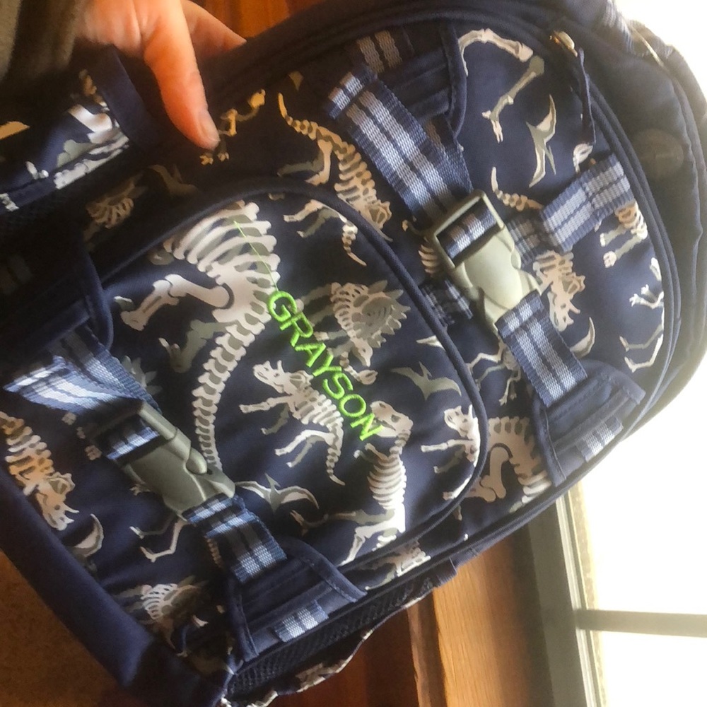 Brand new back pack